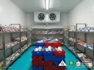 Cold Storage dengan Aplikasi Freezer dan Chiller